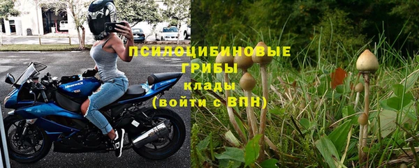 прущая мука Кодинск