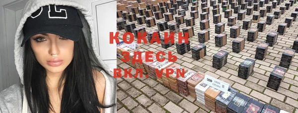 ГАЛЛЮЦИНОГЕННЫЕ ГРИБЫ Пестово