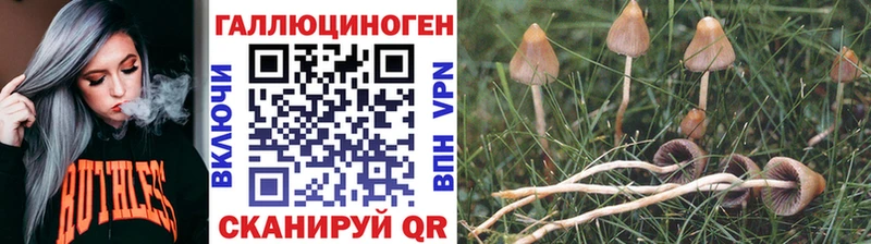 Псилоцибиновые грибы Psilocybe Карталы